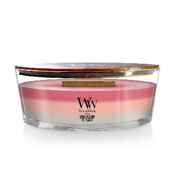 Candela 16 oz Ellipse Shoreline Trilogy