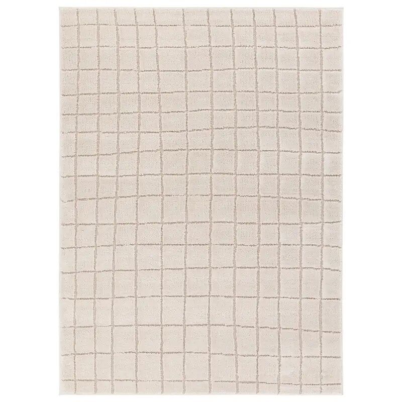 8' x 10' rug