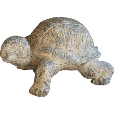 Accesorio Decorativo - Monnry