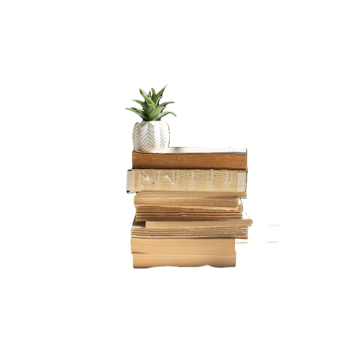 Accesorio Decorativo - Monnry