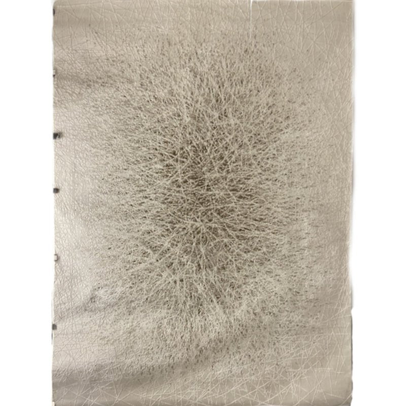 Alfombra de Exterior e Interior 8' x 10' Pies - Monnry