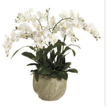 Arreglo Floral - Monnry