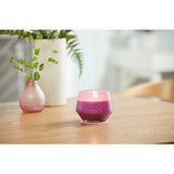 Candela Aromática 10 oz, Wild Orchid - Monnry