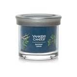 Candela Aromática 4.3 oz, Bayside Cedar - Monnry