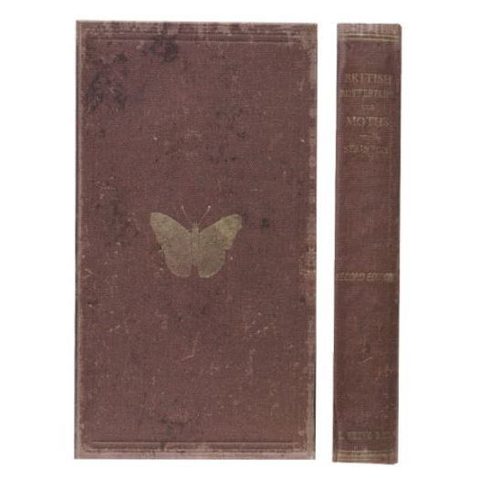 Cuaderno de Notas - Monnry