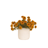 Planta Artificial - Monnry
