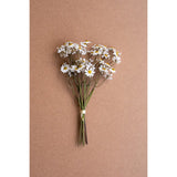 Planta Artificial - Monnry