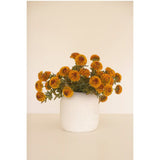 Planta Artificial - Monnry