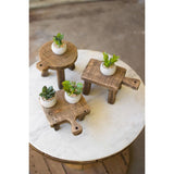 Set de Accesorio Decorativo 3 Piezas Piezas - Monnry