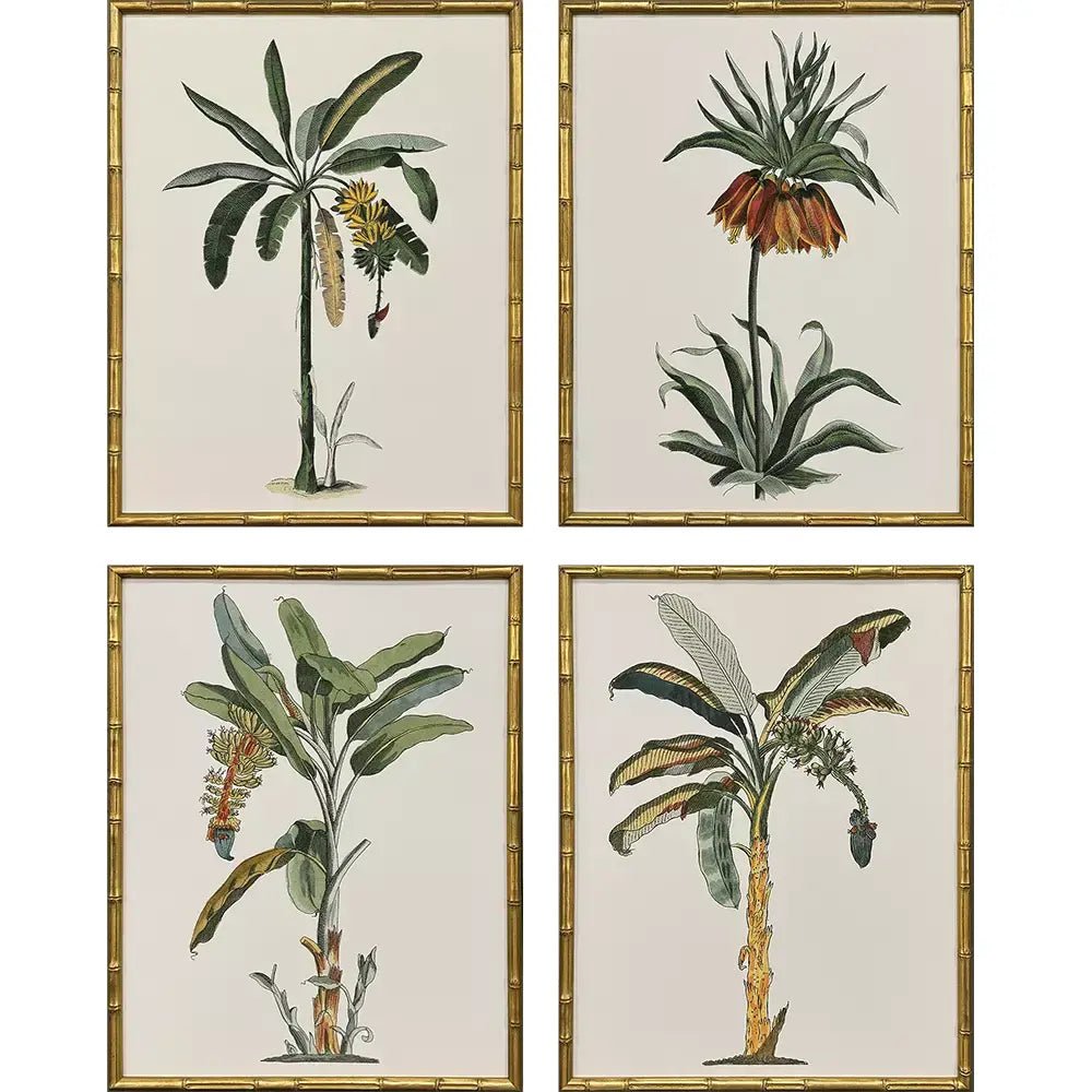 Set de Arte 4 Piezas - Monnry
