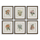 Set de Arte 6 Piezas - Monnry