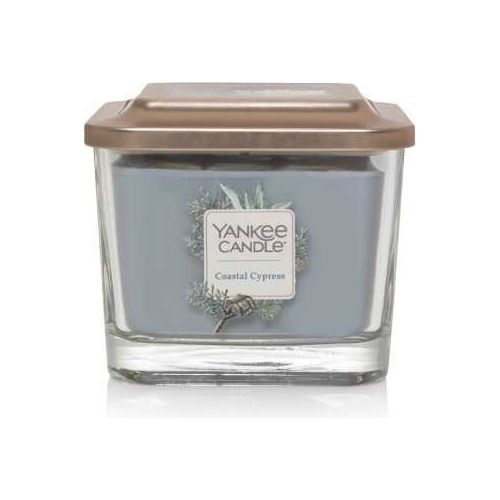 Candela Aromática Coastal Cypress 12.25 oz - Monnry