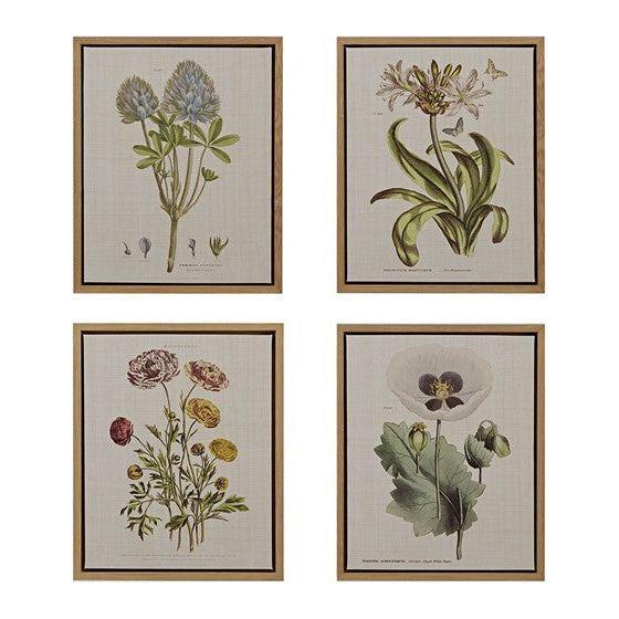 Set de Arte 4 Piezas - Monnry