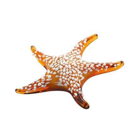 Figura Estrella de Mar - Monnry