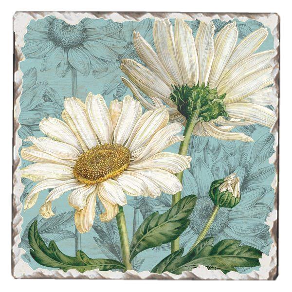 Posavasos - Monnry
