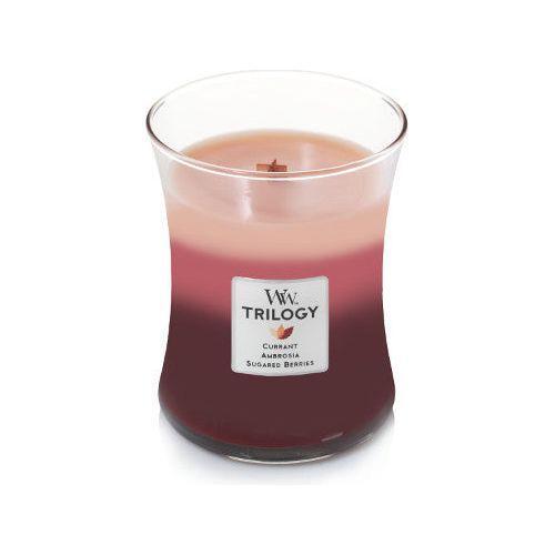 Candela Aromática Fruit Temptation 10 oz - Monnry