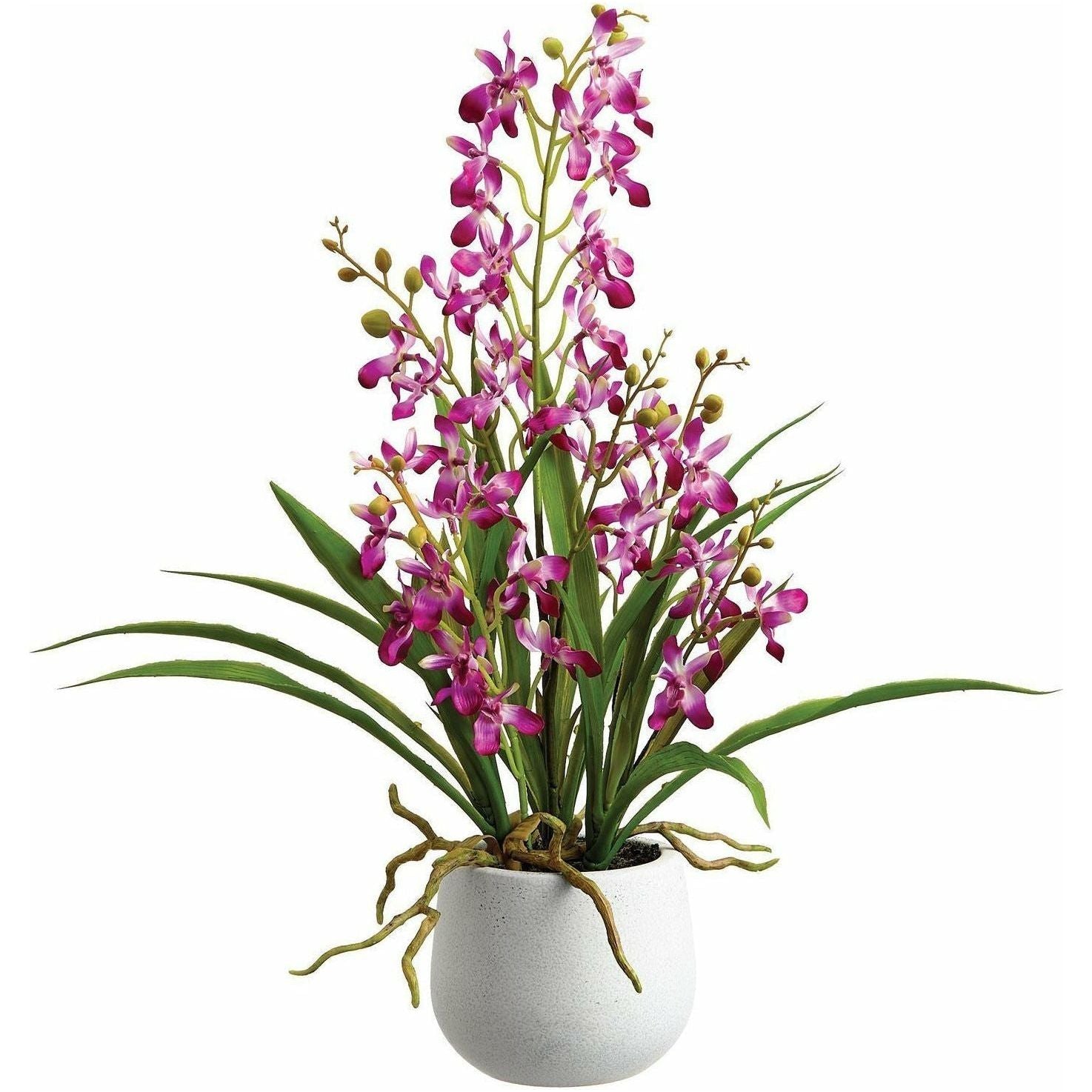 Arreglo Floral Orqui­dea de Exterior - Monnry