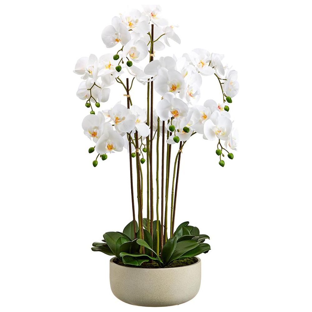 Arreglo Floral Phalaenopsis - Monnry