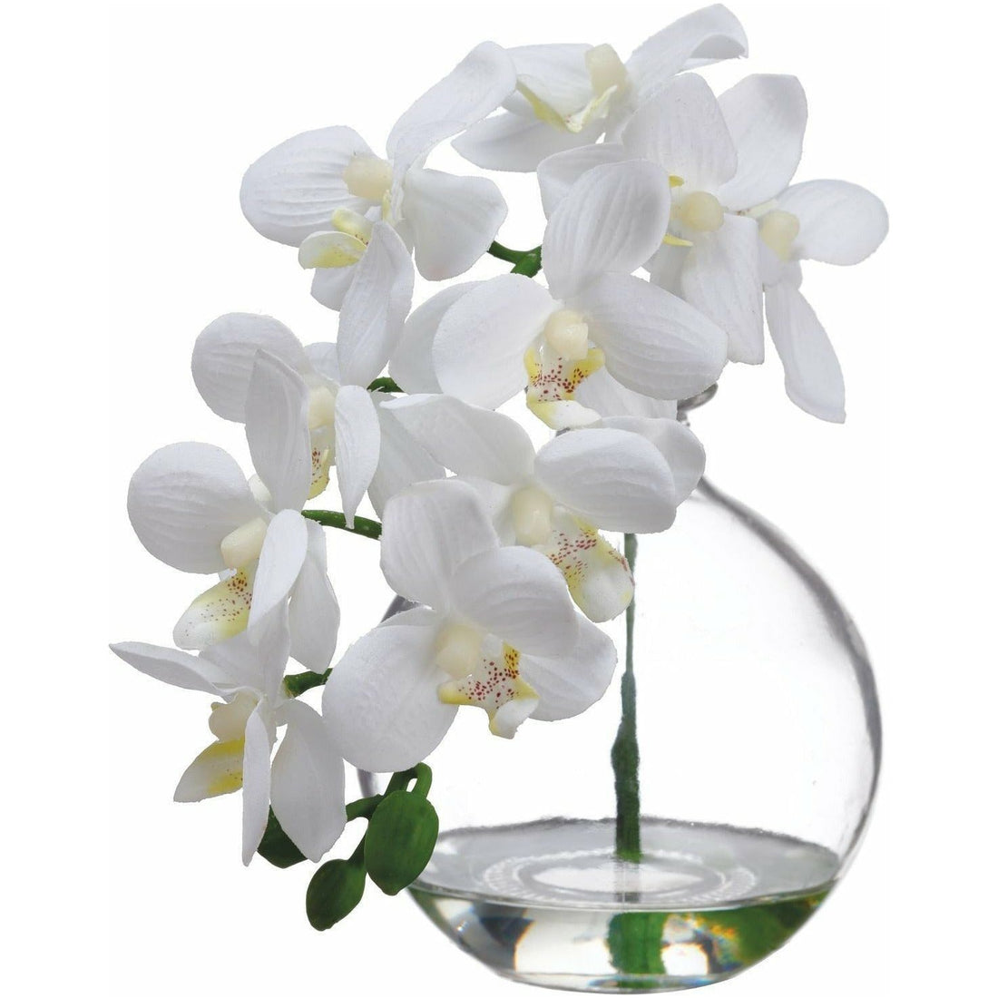 Arreglo Floral - Monnry