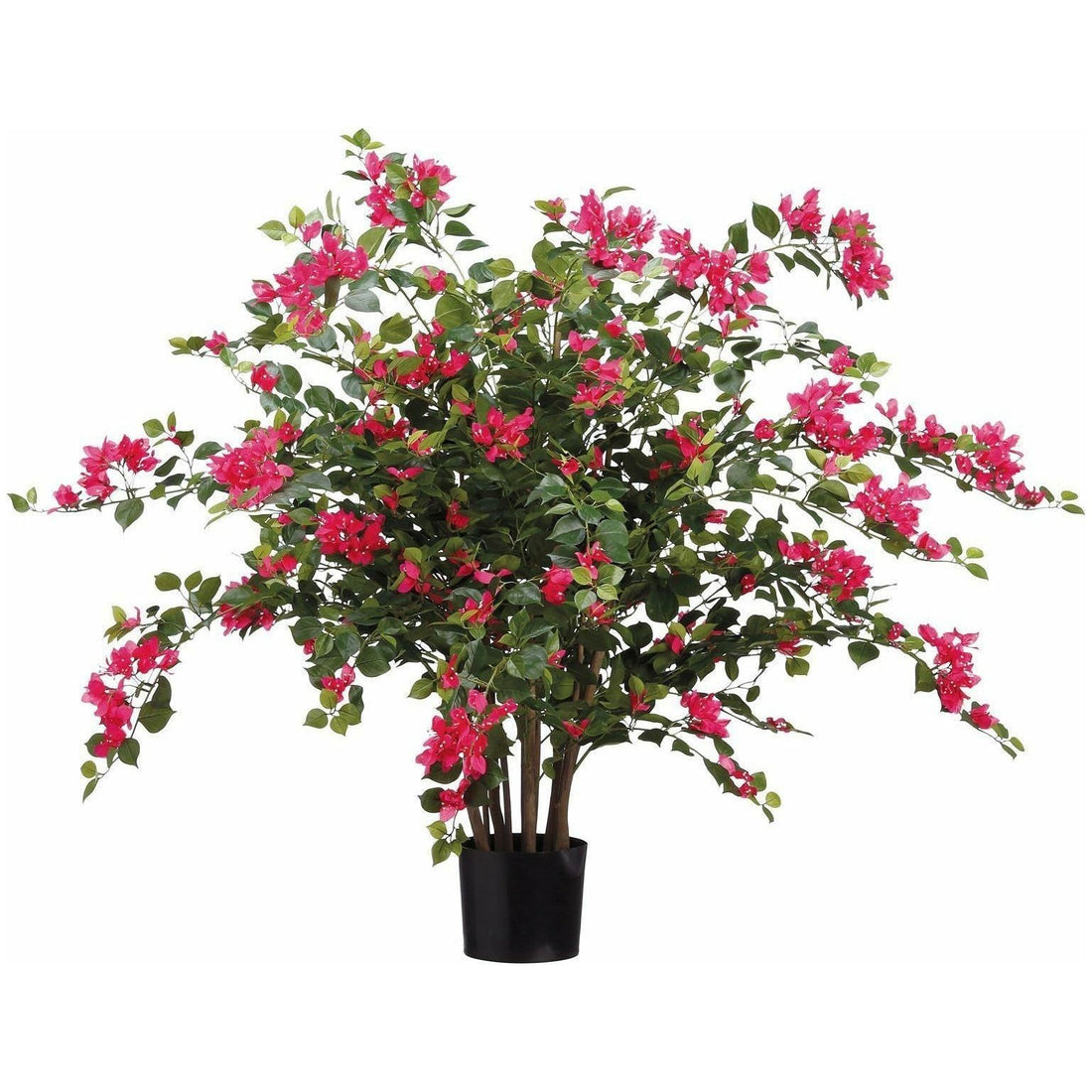 Arreglo Floral - Monnry