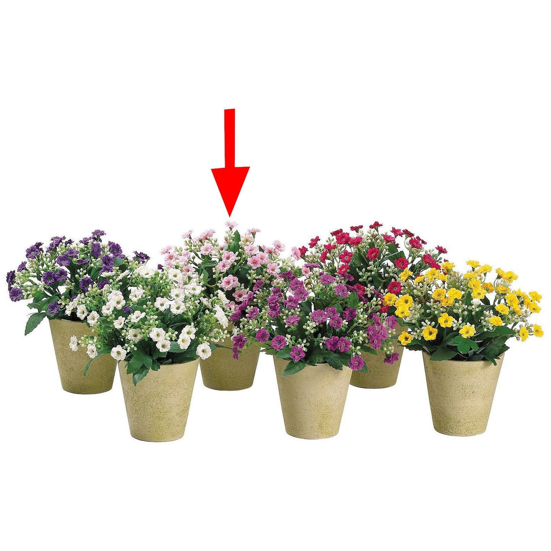 Arreglo Floral - Monnry