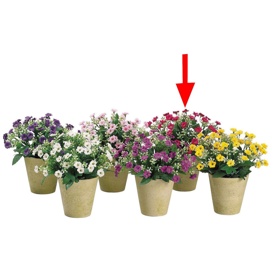 Arreglo Floral - Monnry