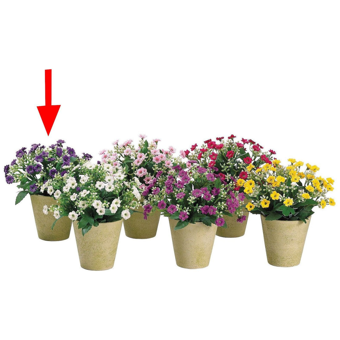 Arreglo Floral - Monnry