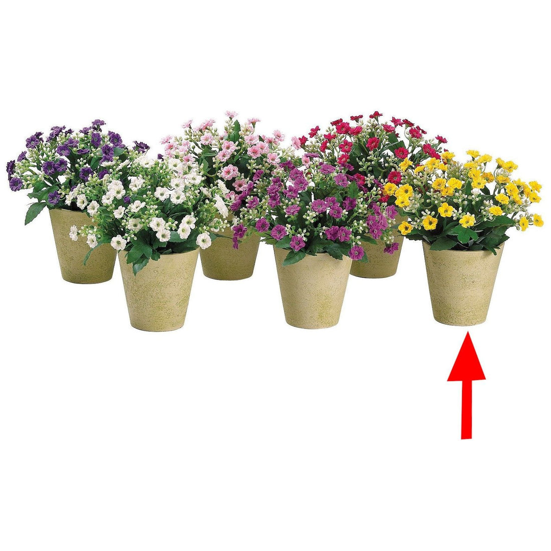 Arreglo Floral - Monnry
