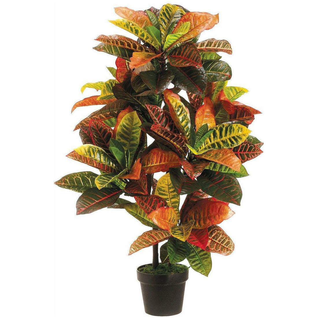Arreglo Floral - Monnry