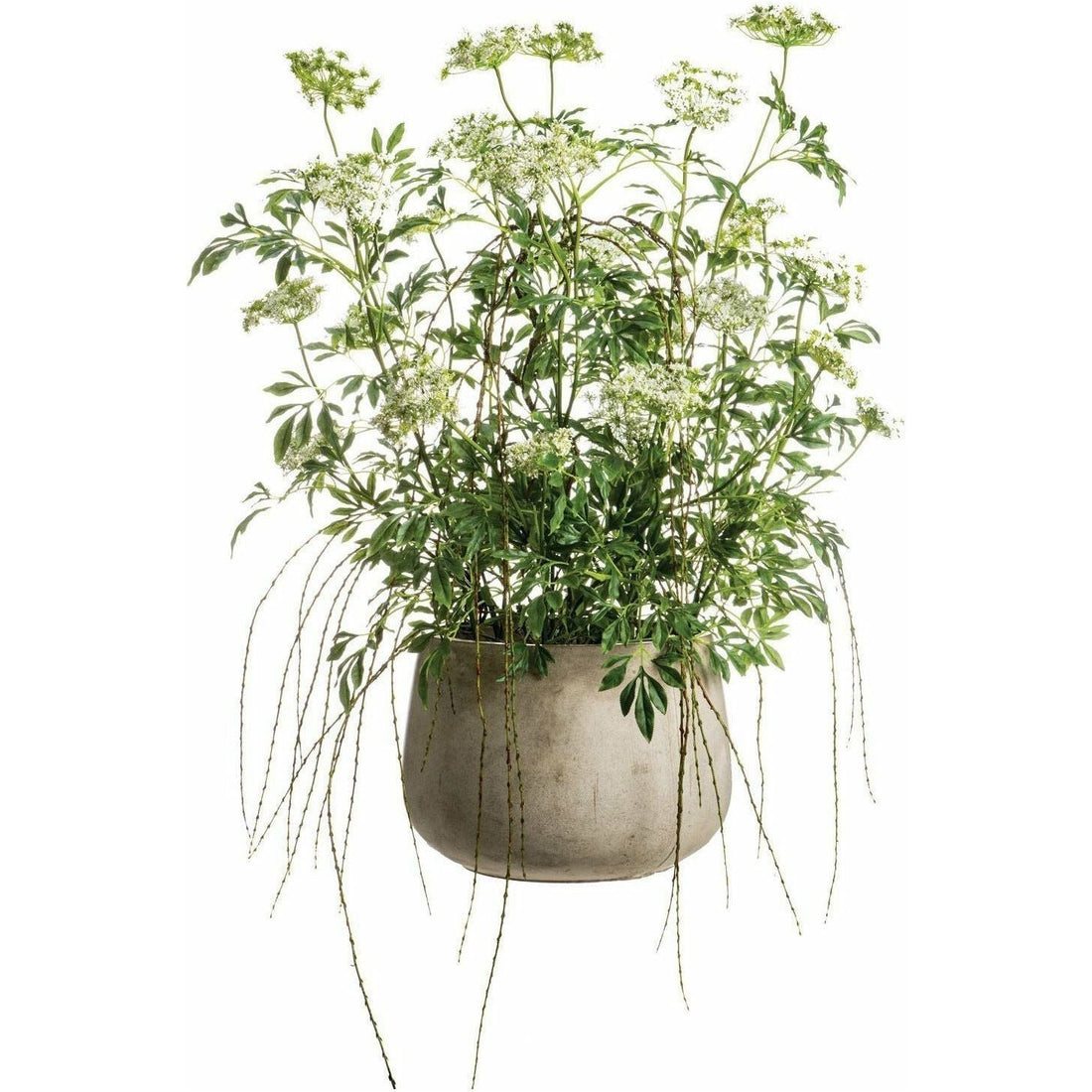 Arreglo Floral - Monnry