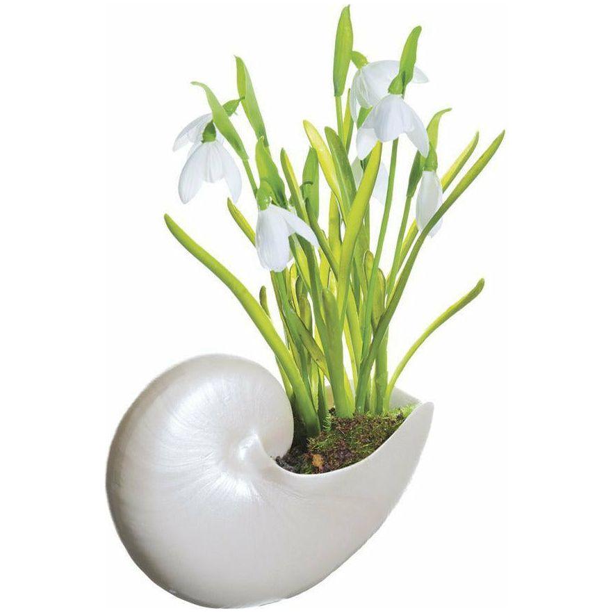 Arreglo Floral - Monnry