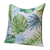 Almohadón con Relleno de Plumas 20" x 20" Pulgadas - Monnry