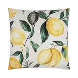 Almohadón Tela Premium con Relleno de Plumas 22" x 22" Pulgadas - Monnry