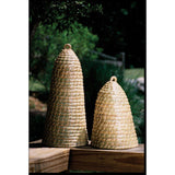 Campana - Monnry