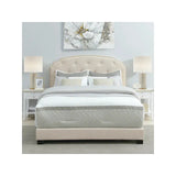 Cama King - Monnry