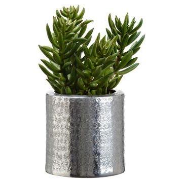 Planta Artificial - Monnry