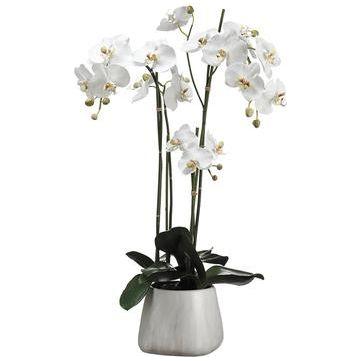 Planta Artificial - Monnry