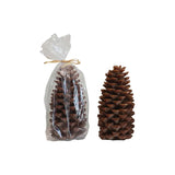 Candela sin Aroma 9.5" - Monnry