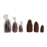 Candela sin Aroma 9.5" - Monnry